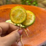 WhatsApp Image 2026-04-25 at 12.50.48 AM